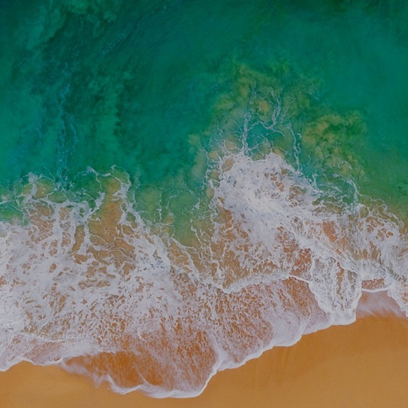 Meet your Posher, Alec - Picture 1 of 1